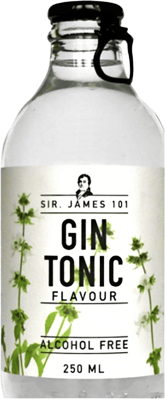 Alkoholfreier Gin Tonic | Sir James 101 | 250 ml