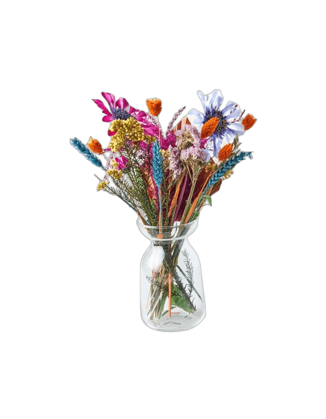 Trockenblumen "Knallig Bunt" l BloomPost l 30 cm